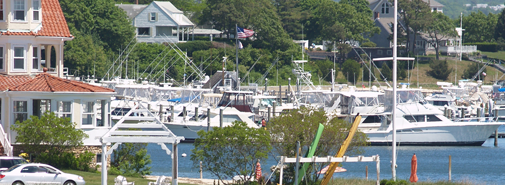 Houses and boats on the bay.